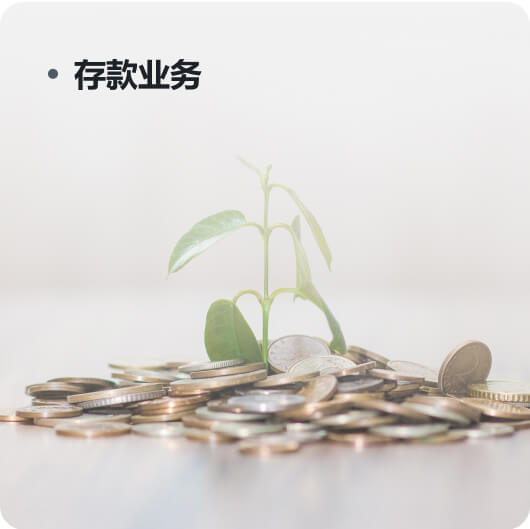 存款業(yè)務